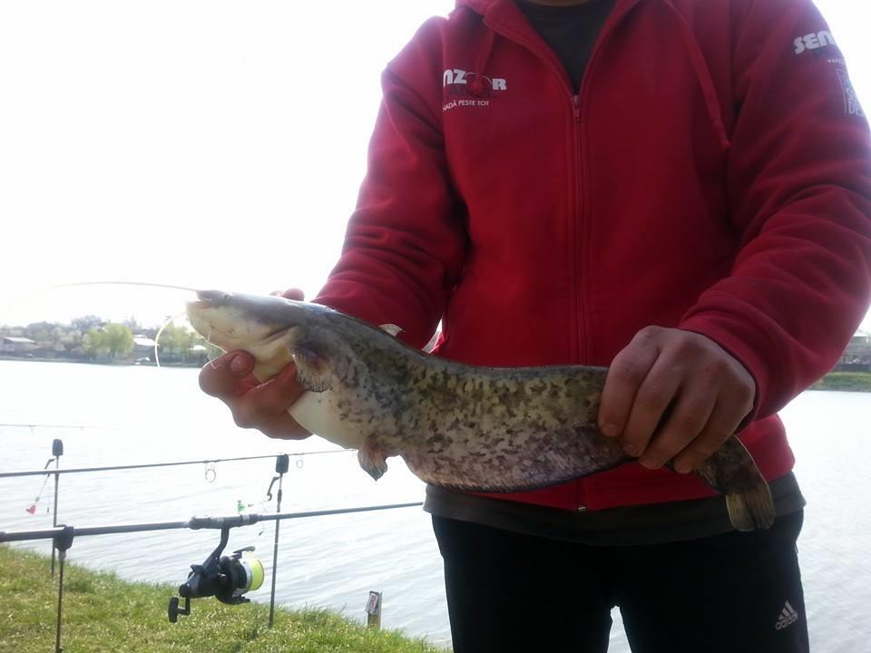 Moara Vlasiei 2 28 - 29 mar. - 1015548014904896778392691099654434n.jpg